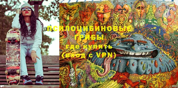 крисы Алзамай