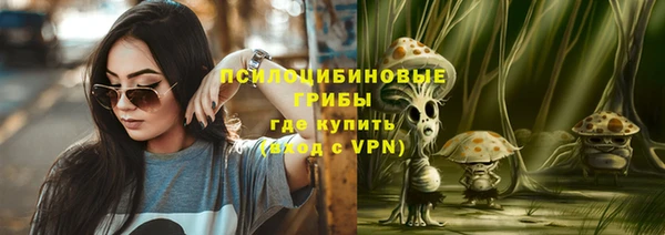 apvp Алексин