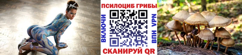 Галлюциногенные грибы GOLDEN TEACHER  Николаевск-на-Амуре 